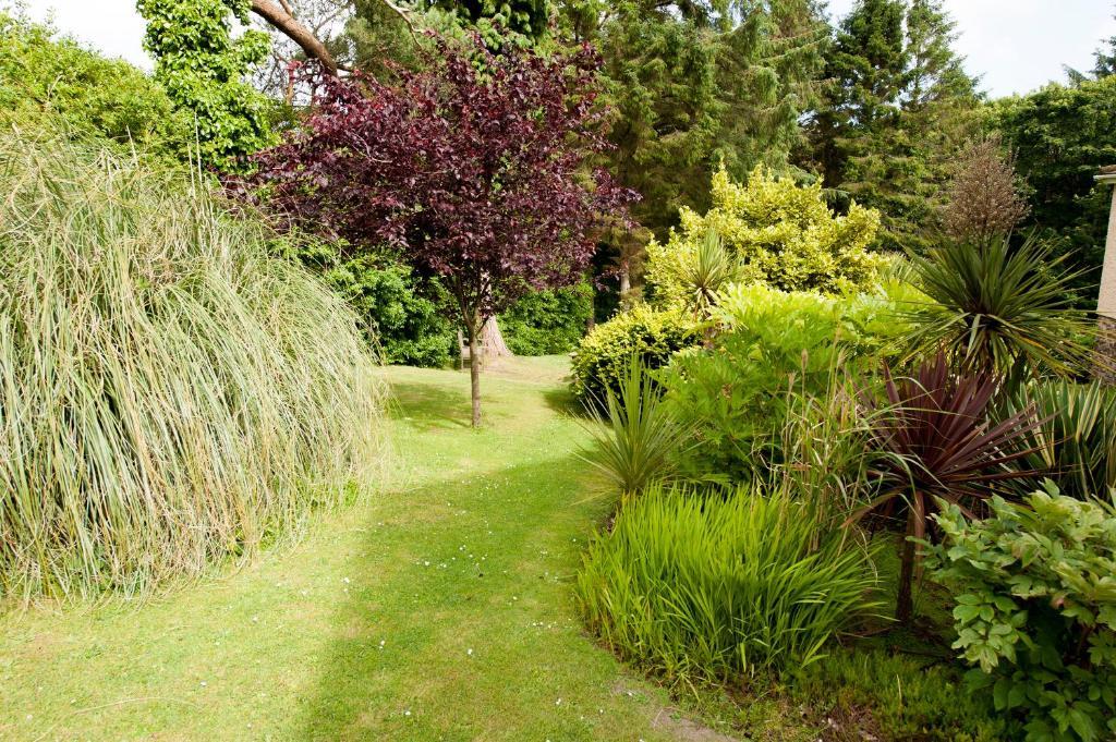 Cwmwennol Country House サンダースフット エクステリア 写真
